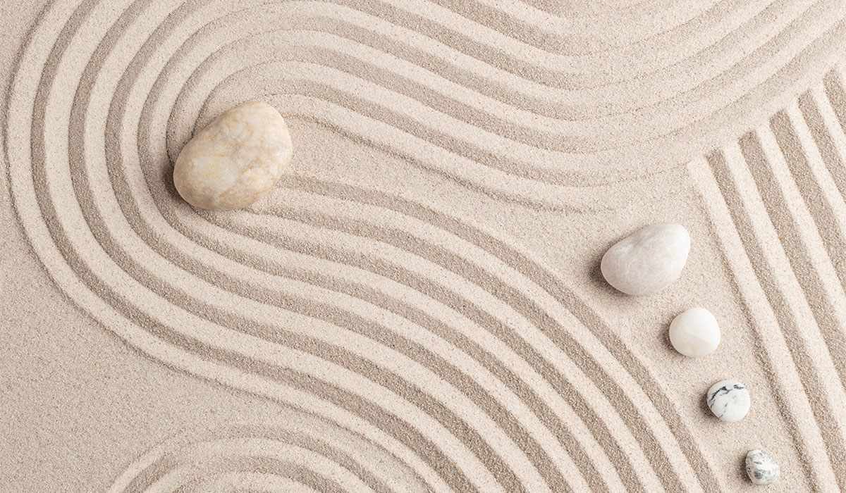 Lire la suite à propos de l’article How to launch health care website with WordPress